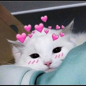 Meet your Posher, Zoe